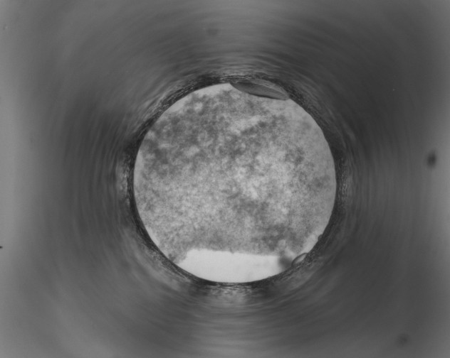 X0000115590282200912081056