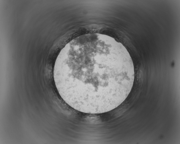 X0000115590283200912081056