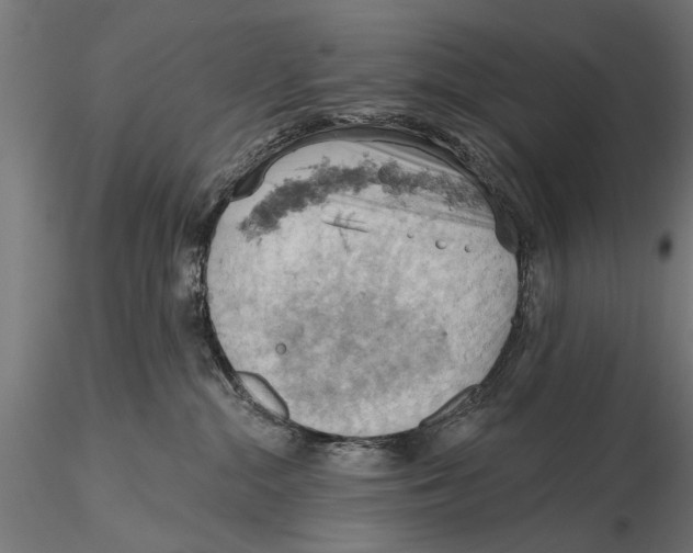 X0000115590284200912081056