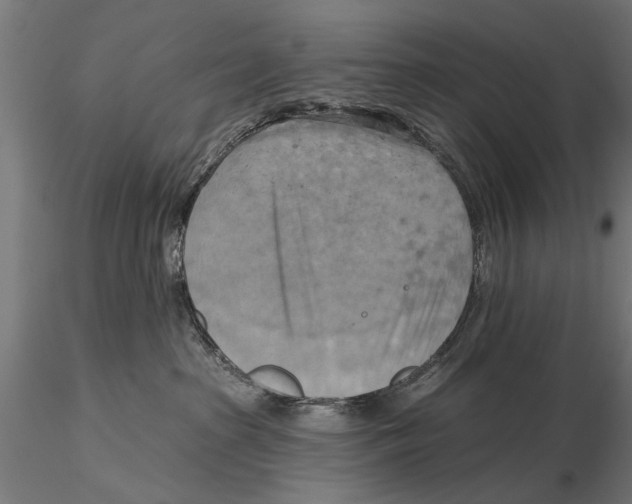 X0000115590285200912081056