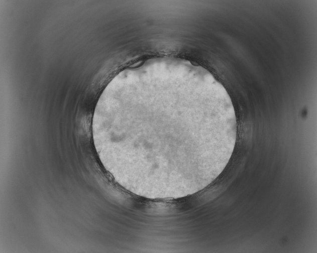 X0000115590286200912081056