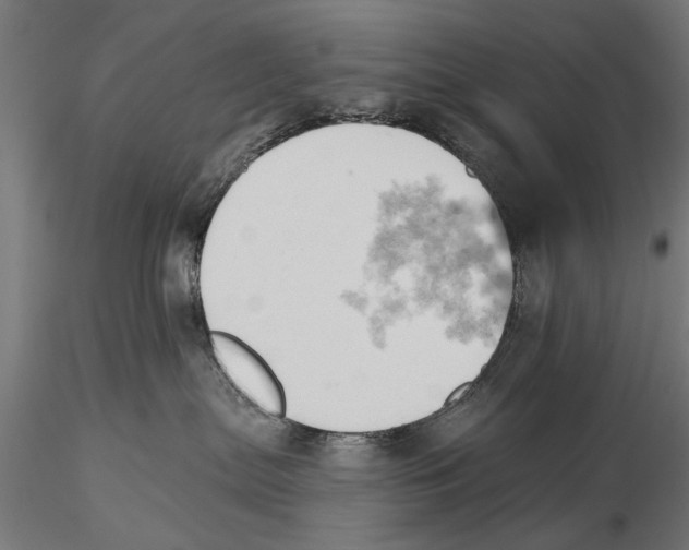 X0000115590287200912081056