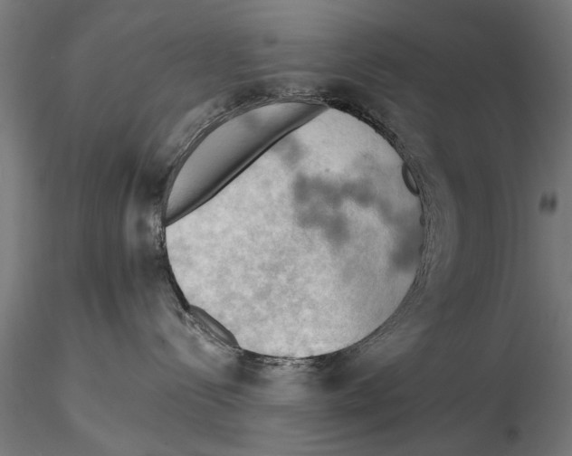 X0000115590288200912081056