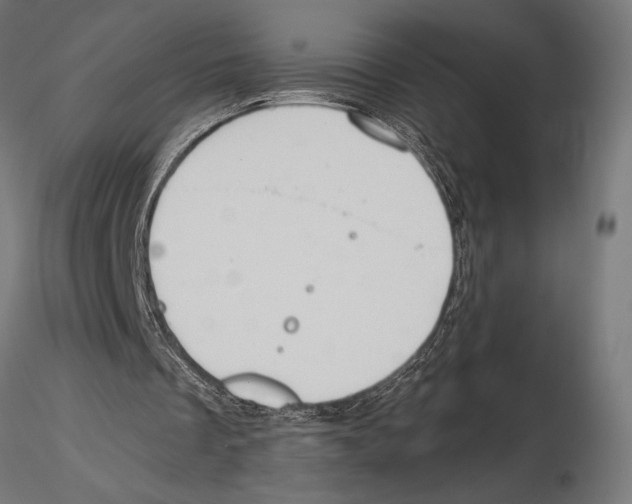 X0000115590289200912081056