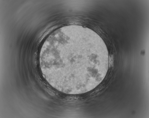 X0000115590291200912081056