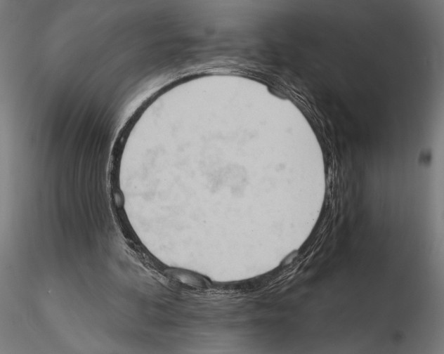 X0000115590292200912081056