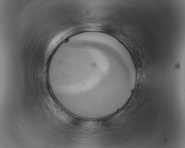 X0000115590293200912081056