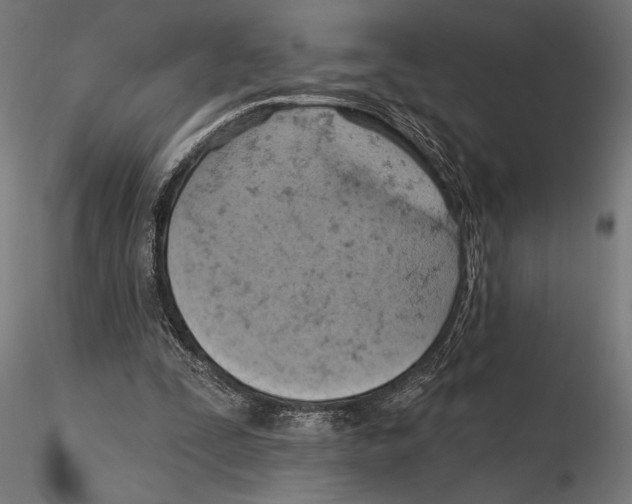 X0000115590295200912081056