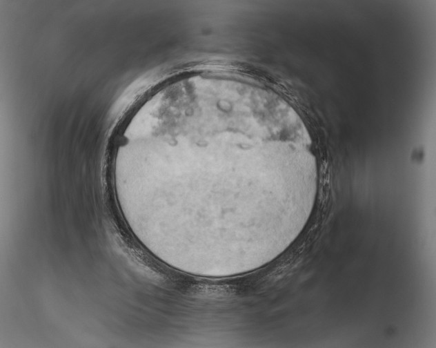 X0000115590296200912081056