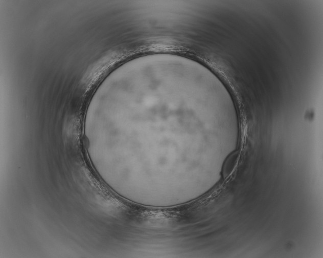 X0000115590297200912081056