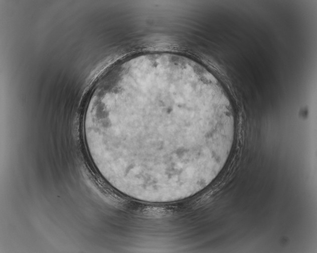 X0000115590298200912081056