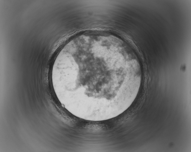 X0000115590299200912081056