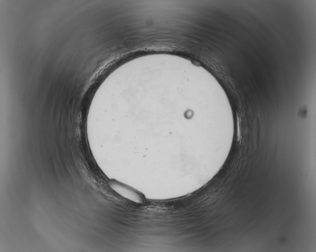 X0000115590300200912081056