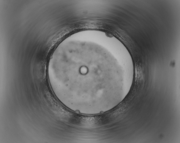 X0000115590301200912081055