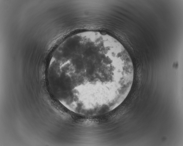 X0000115590303200912081055