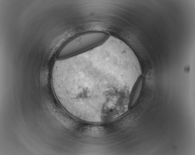 X0000115590304200912081055