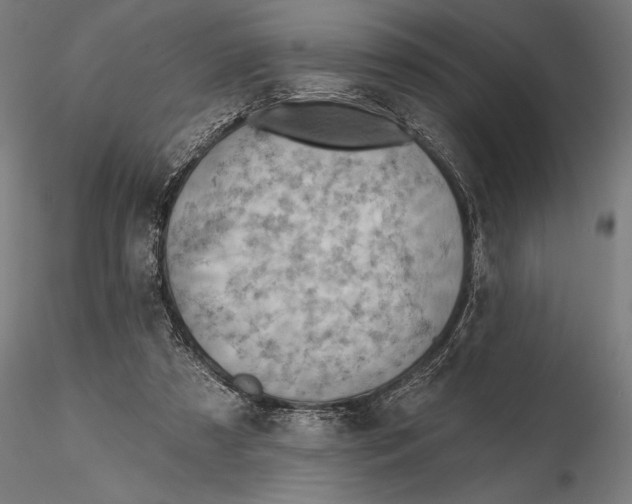X0000115590305200912081055