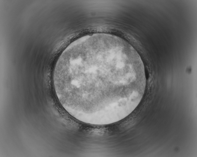 X0000115590306200912081055