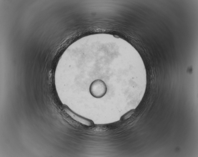 X0000115590308200912081055