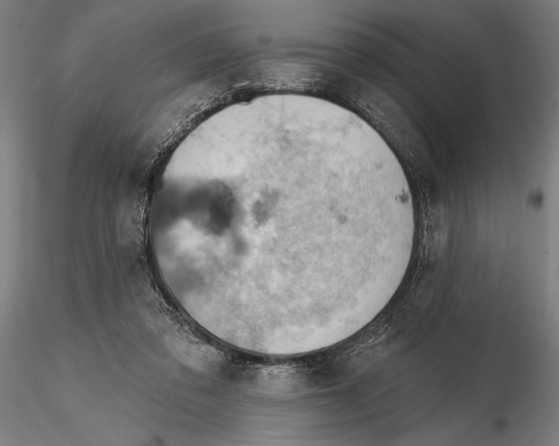 X0000115590309200912081055