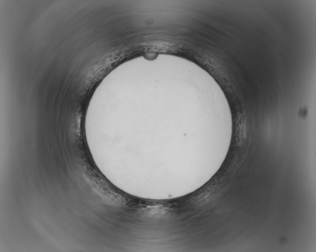 X0000115590310200912081055