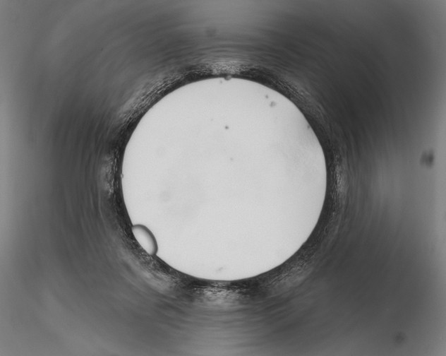 X0000115590311200912081055