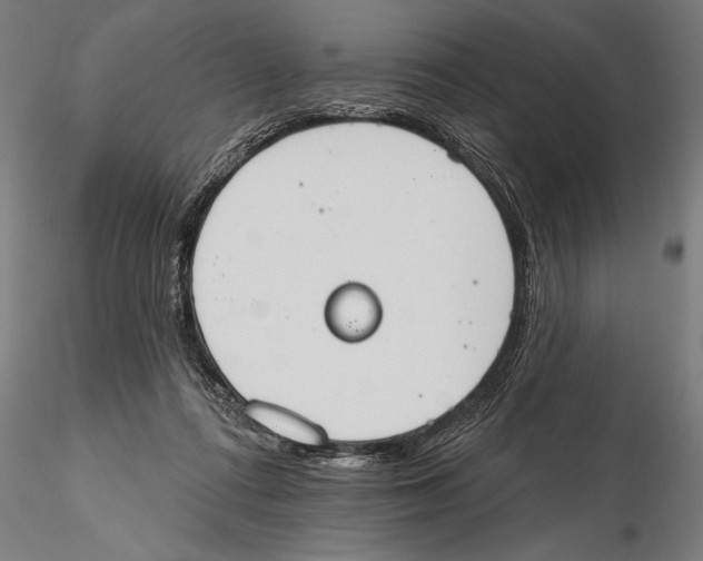 X0000115590312200912081055