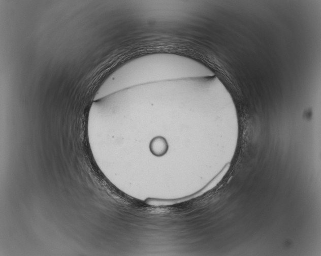 X0000115590313200912081055