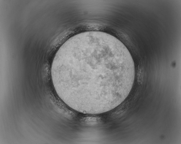 X0000115590314200912081055
