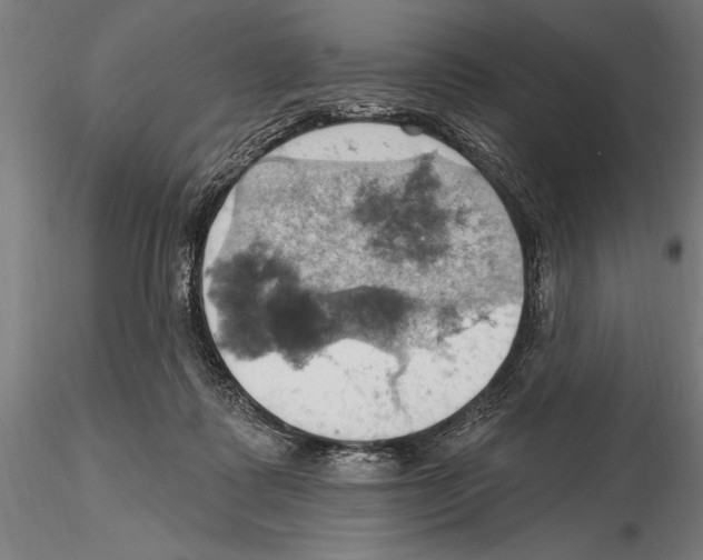 X0000115590315200912081055