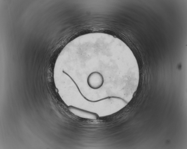 X0000115590316200912081055