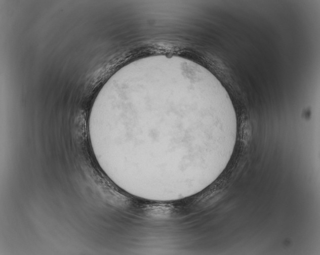 X0000115590318200912081055