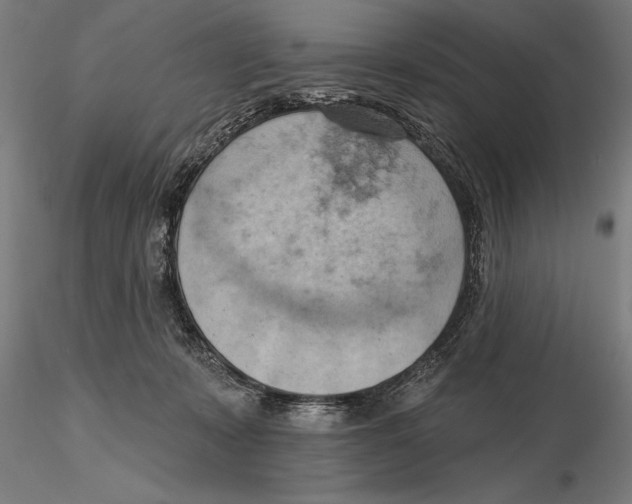 X0000115590319200912081055