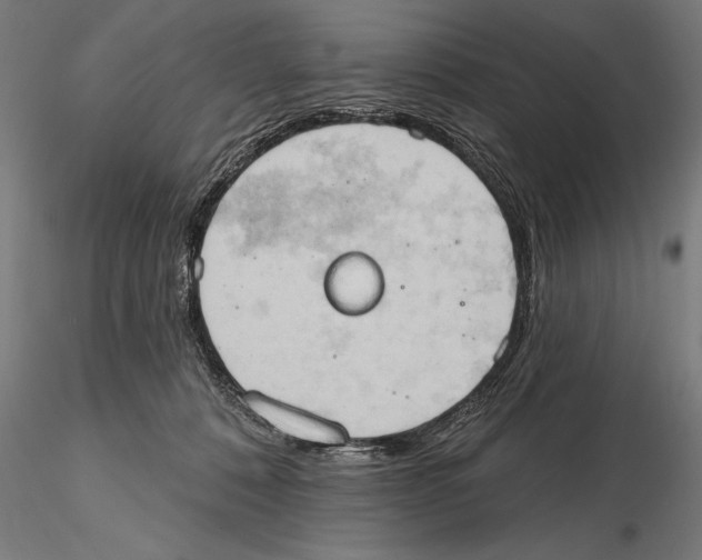 X0000115590320200912081055
