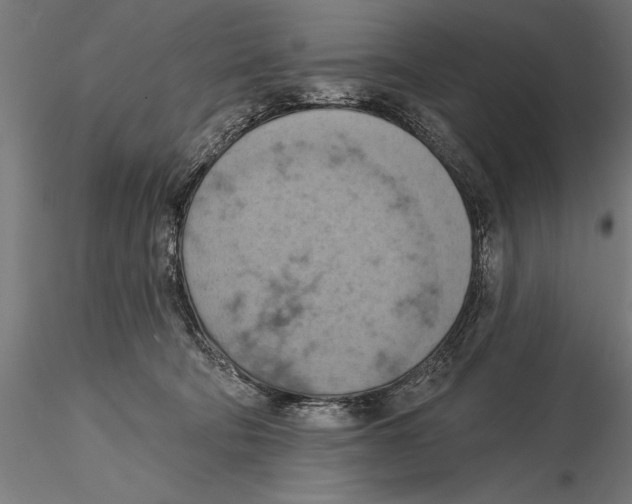 X0000115590322200912081055
