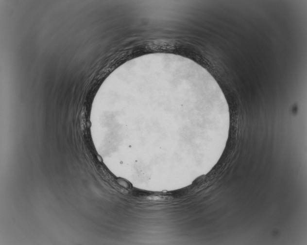 X0000115590323200912081055
