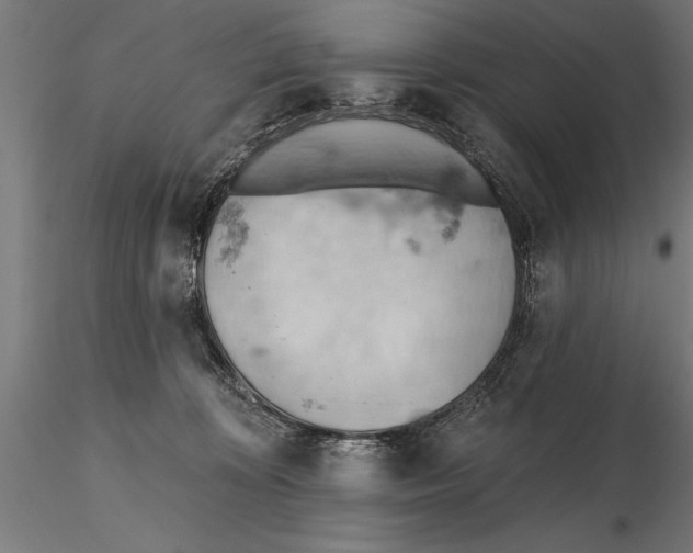 X0000115590324200912081055