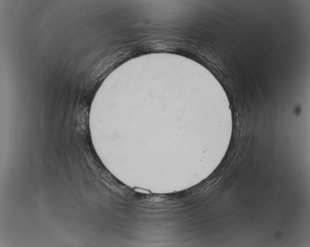X0000115590325200912081055
