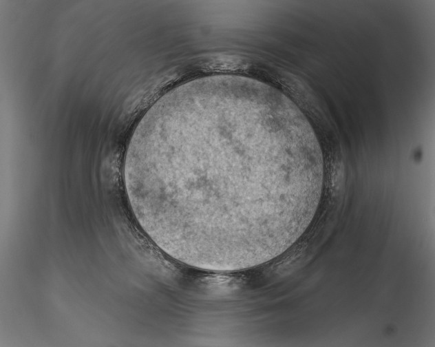 X0000115590326200912081055