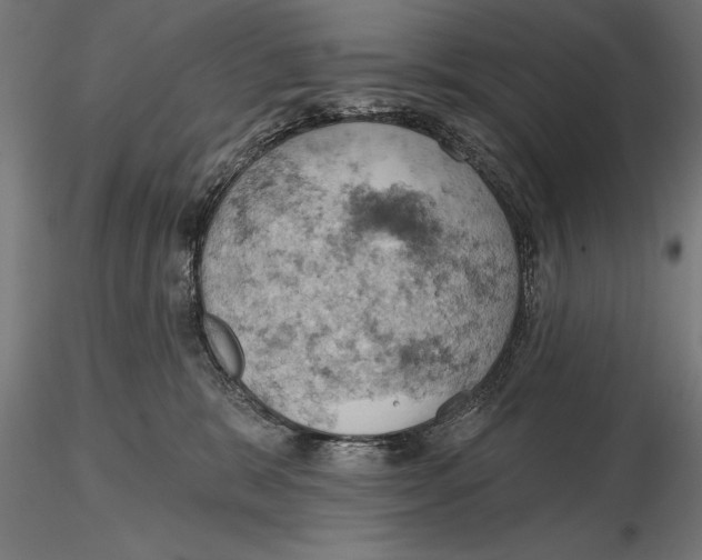 X0000115590327200912081055