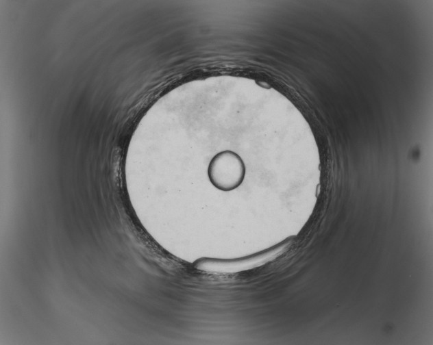 X0000115590328200912081055