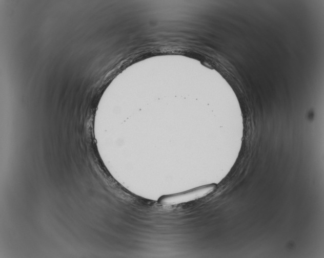 X0000115590329200912081055
