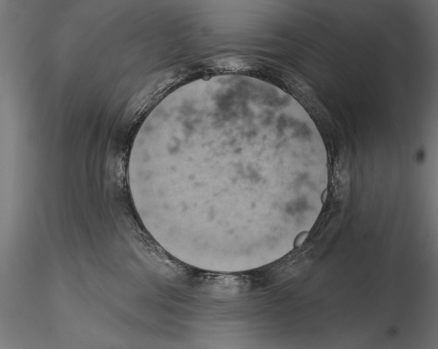 X0000115590330200912081055