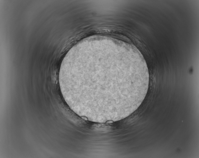 X0000115590331200912081055