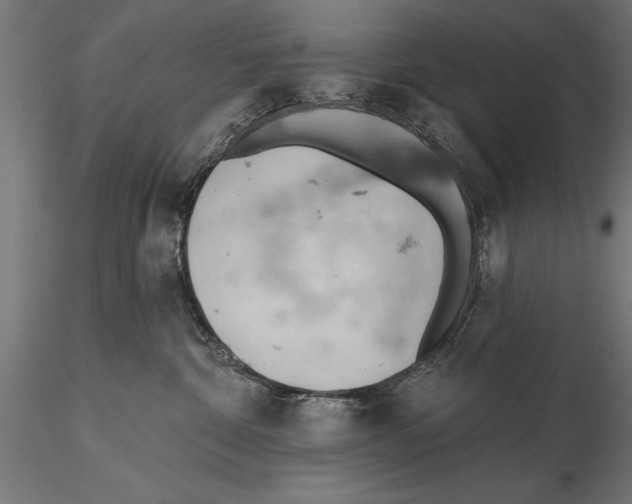 X0000115590332200912081055