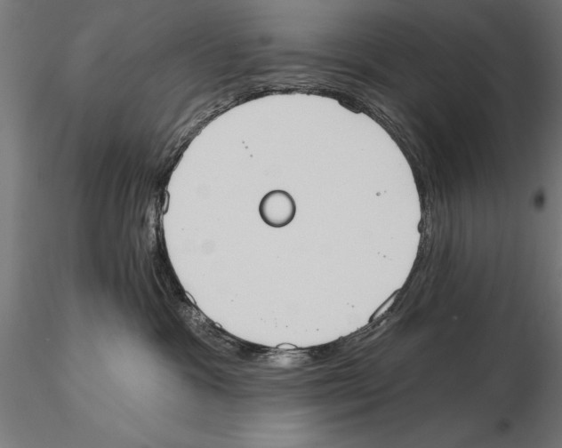 X0000115590333200912081055