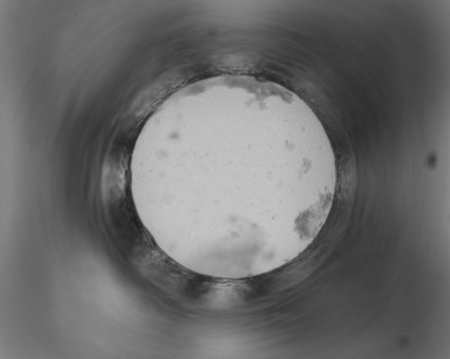 X0000115590334200912081055