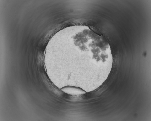 X0000115590335200912081055