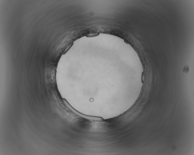 X0000115590336200912081055