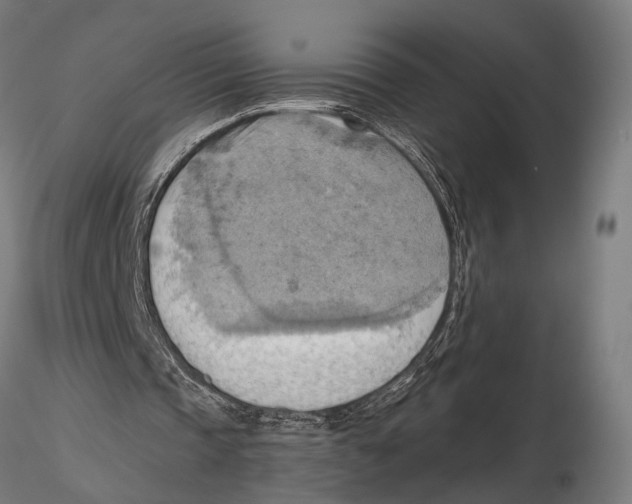 X0000115590337200912081054